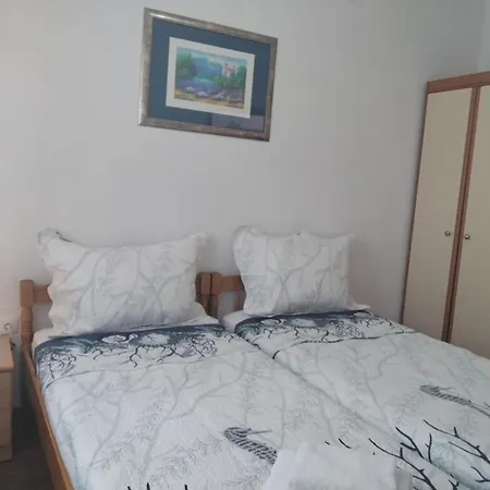 Nera * Zadar